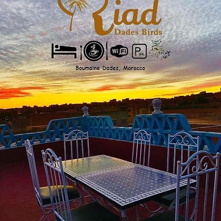Riad Dades Birds Boumalne Eksteriør bilde