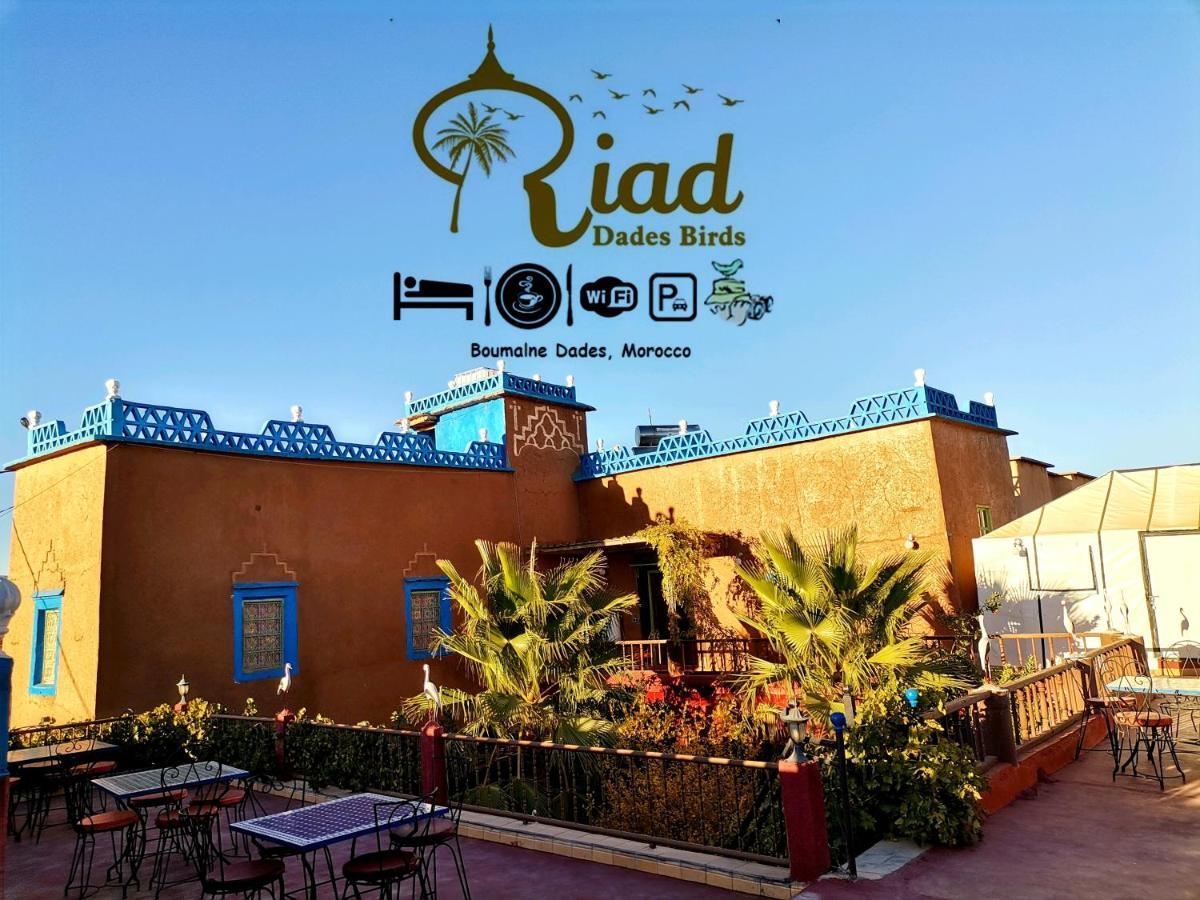 Riad Dades Birds Boumalne Eksteriør bilde